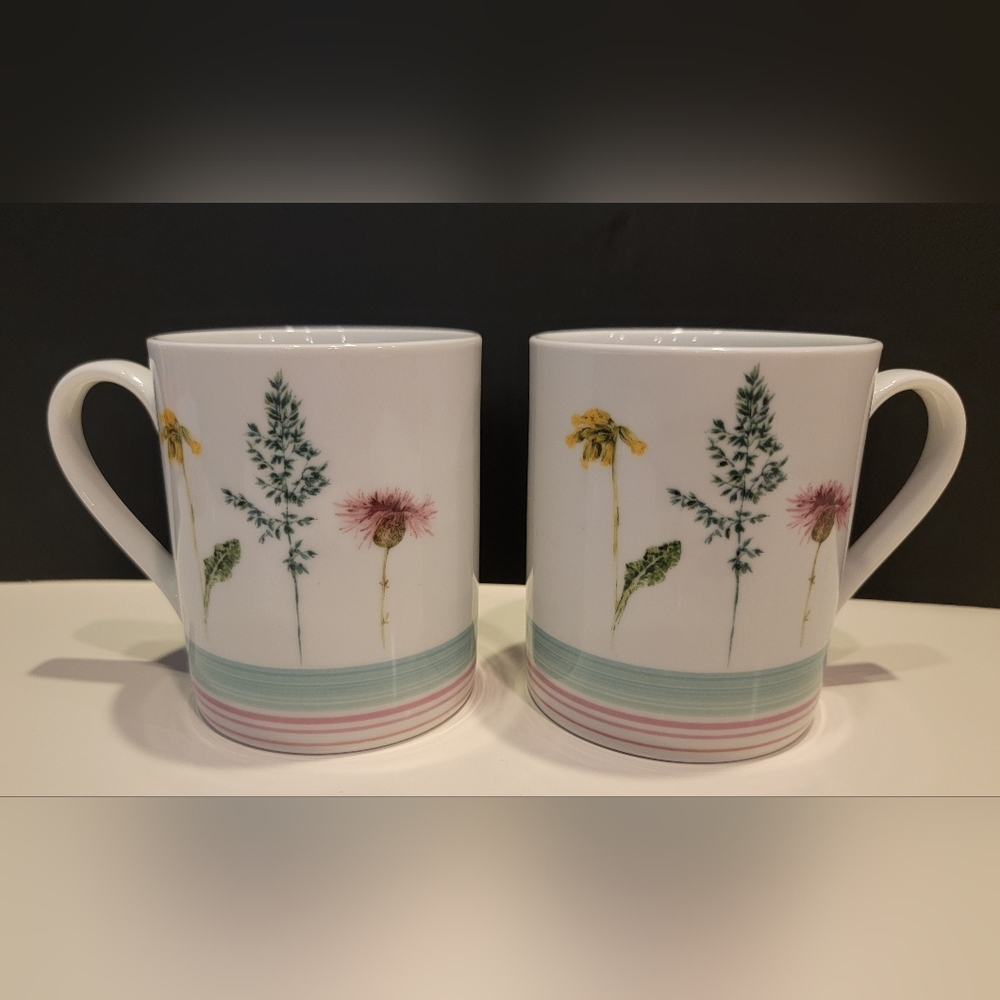 RW Essentials (Royal Worcester) Riverbank 2 Mugs Portmeirion Group England